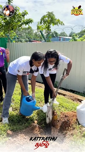 MVF - Malaysian Vijay Fans on Instagram: "4th November 2025 🇲🇾🎋💚 SJK (T) Saraswathy, Sungai Petani stands as one of Malaysia’s historically significant Tamil schools, carrying a legacy of 102 years in providing education and shaping generations. As the first school selected for the launch of Project Kattrathu Tamizh, students and teachers participated actively in the tree planting activities, turning the event into a shared learning experience on environmental care, sustainability, and cultu
