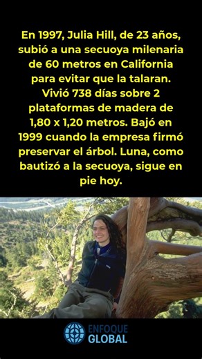 Vivió 738 días arriba de un árbol para que no lo talaran 🌲 #Activismo