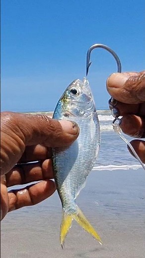 effective bait for saltwater fishing