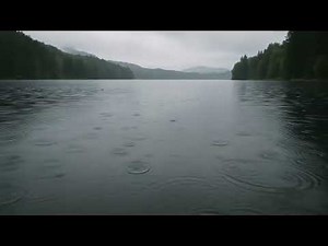 Drizzle Rain Sounds to Sleep Faster | No Thunder