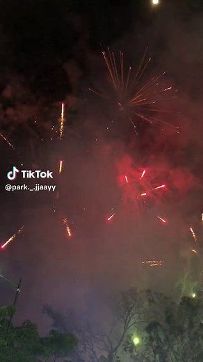 Mesmerizing Fireworks Show with Music | Charlie D'Amelio Singing