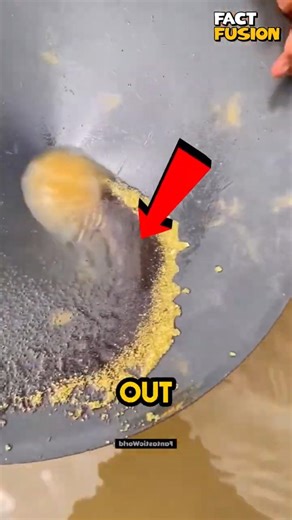 🔥🏠 China’s Underfloor Heating: Cozy Homes Without Heaters ❄️✨