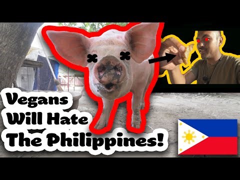 Killing A Pig For A Filipino Wedding - Philippines Travel Vlog 🇵🇭