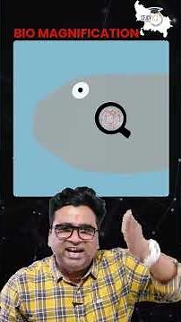 How Bioaccumulation and Biomagnification Impact Ecosystems #ecosystem #ytshorts #studyiq