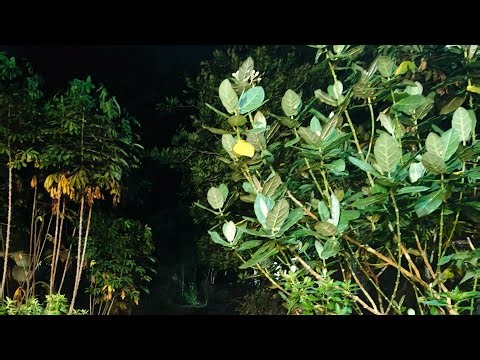 ബുദ്ധിശാലികൾക്ക് സ്വാഗതം KL CMD VLOG is live