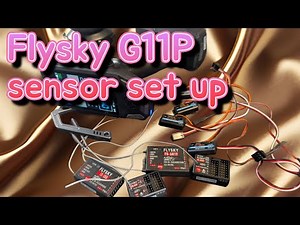 FLYSKY G11P Sensor setup