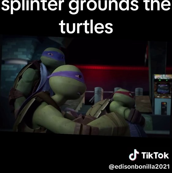 Splinter Grounds Turtles for Breaking Ninja Secrecy