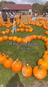 38 reactions · 3 comments | Farm Festival is in full swing at...