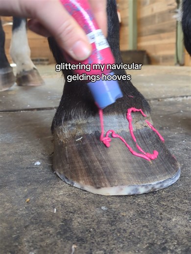Overcoming Navicular: My Journey with a Barefoot Horse