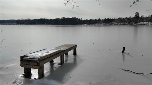 Both Chesterfield Fire and EMS and Chesterfield County Police both continue to receive calls from concerned citizens about kids, going out onto frozen ponds or lakes. Today, we even received a report of children going out on to the Swift Creek Reservoir. Please watch this video and stress to your friends and loved ones that it is never safe to go out onto bodies of water here in Virginia that appear to be frozen. | Chesterfield County Fire and EMS
