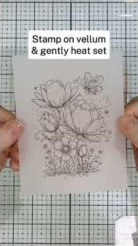 Dreamy Watercolor Card with Vellum ✨