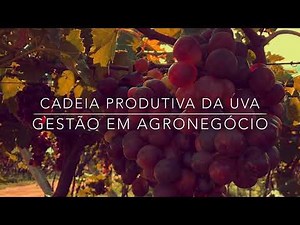 Cadeia produtiva da uva
