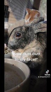 Make sure your audio is on! | Happy Days Farm