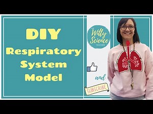 DIY Respiratory System Model