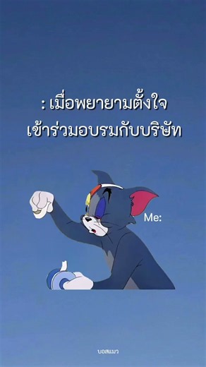 จะหลับตลอด #life #cat #มีม #funny #มีมแมว #ตลก