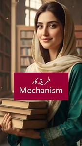 English To Urdu Vocabulary #reelsfacebook #SpokenEnglish #english #fblifestyle | English Daily Vocabulary