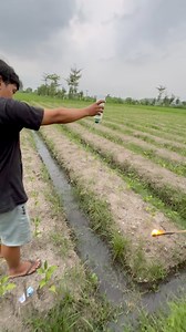 4M views · 13K reactions | Permainan tradisional didesaku | Mamayo Live FB | Facebook