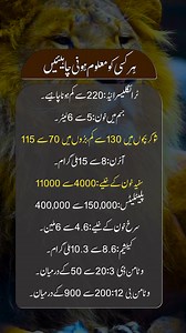 612K views · 4K reactions | Normal Ya High Range - Yeh Health Tips Aapko Bachayenge #NormalHighRange #HealthTipsForAll #FixYourHealth #healthtips | Dr Muhammad Zohaib | Facebook