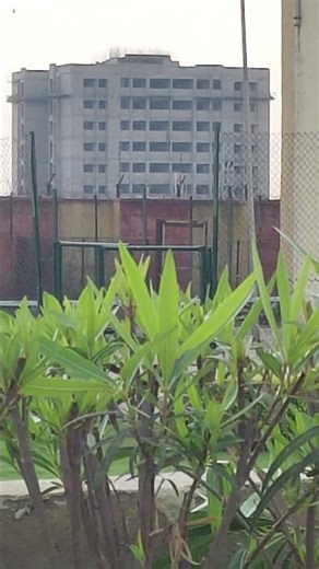 Mobile Zoom Test | Zoom | Mobile Zooming Test
