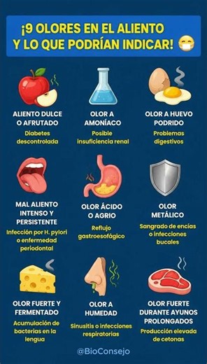 ¡9 OLORES DEL ALIENTO Y LAS ENFERMEDADES QUE PUEDEN INDICAR! 😷