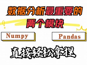 【Numpy】和【Pandas】听这个课程就够了！直接拿捏你Python数据分析最重要的两大模块！-AI/人工智能/Numpy/Pandas