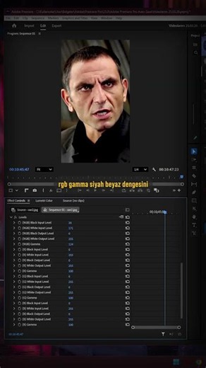 Premier Pro levels efekti #premierepro