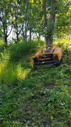 Remote Control Mower. Order it from us.