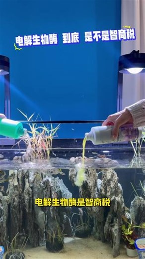 鱼缸净水剂。马印天王。鲸浅鳍蓝。电解生物酶。水族界的养鱼神器，快速净水 不伤鱼 轻松养鱼不死鱼