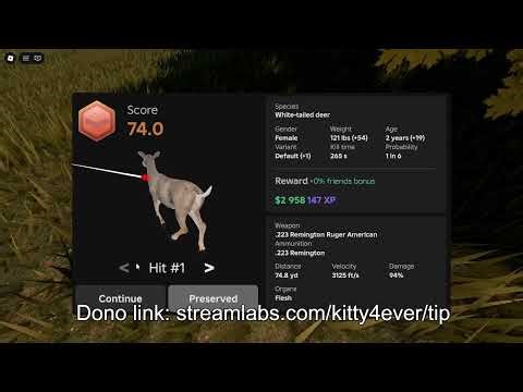 Playing some roblox till i'm tired