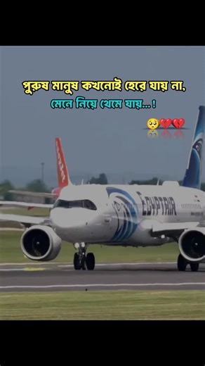 Unfreeze My TikTok Account: A Guide