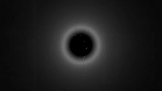 Oliver Tree Launches His New Album