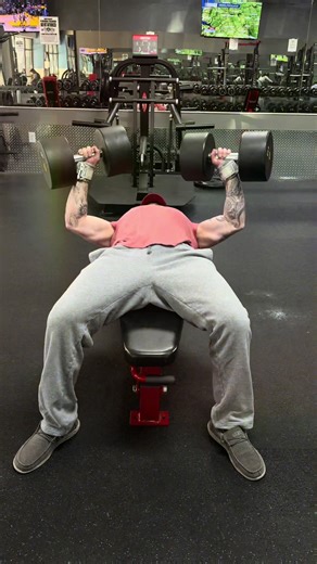 #beefcake #gym #gains #gymtok #bodybuilding
