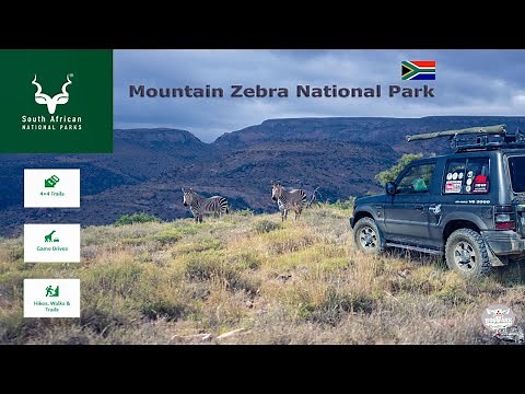 Mountain Zebra National Park: Game Drive and Hiking Adventure