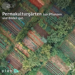 183K views · 172 reactions | Die Weltbevölkerung wächst. Schon heute sind die Böden oft ausgelaugt und bringen weniger Ertrag. Dünger und Pestizide haben die Ernten bisher halbwegs stabil gehalten. Eine Alternative: Permakultur. Die plan b-Doku in der Mediathek: https://ly.zdf.de/jdX/ | ZDF | Facebook