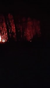 Multiple structure fire on Clark Loop, with explosions being reported, use caution in the area. Posted 9:03PM Wednesday, March 26th . | Shannon D. Anthony