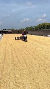 dry the rice using a fork | Atik Al Azizi