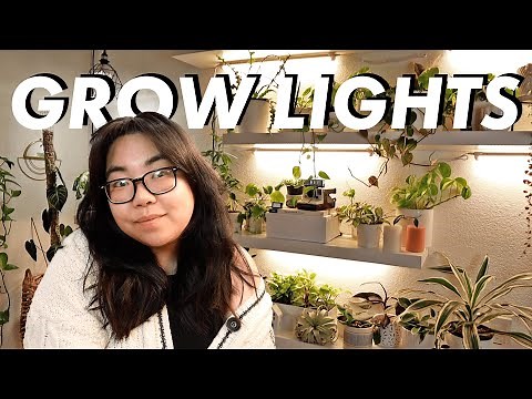 How I Install My Grow Light Under Shelves! | IKEA LACK + T8 LED Strip Lights
