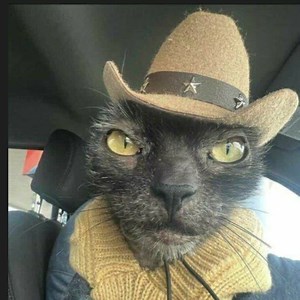 derp_derp200 - Twitch