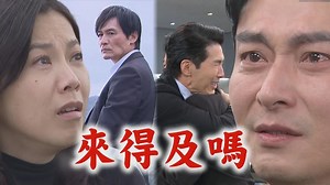 【愿望】108预告耀武冲动绑走鬼王!逼碧玉下手好两难进辉为救人和胜强相认了(终于