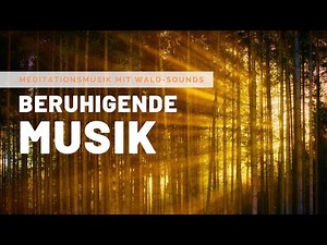 Beruhigende Musik und Waldgeräusche (2 Stunden) | Tiefenentspannung