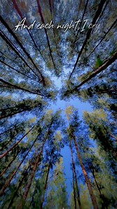 254K views · 10K reactions | Aesthetic sky shot video tutorial. #aesthetic #tutorial #videography #naturephotography #sirmartstudios | Muhammad Bin Maharoff | Facebook