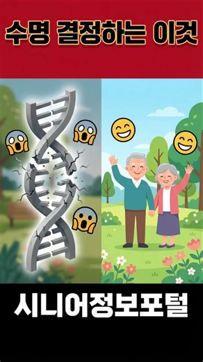 이사 한번으로 수명 10년 늘리는 법 (충격 반전)