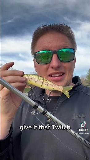 S-Waver 168 #shorts #shortvideo #bassfishing #series #fun #tiktok #fishingtips #glidebait #fishing