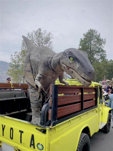 Dinosaur Adventure: Exploring Creator Search Insights