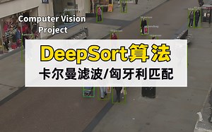 目标追踪deepsort算法详解，华东理工博士带你3小时手撕项目源码！-原理/实战
