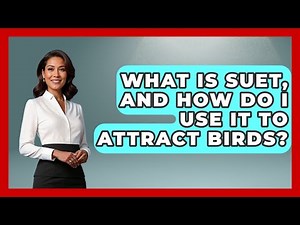 What Is Suet, And How Do I Use It To Attract Birds? - Bird Watching Diaries