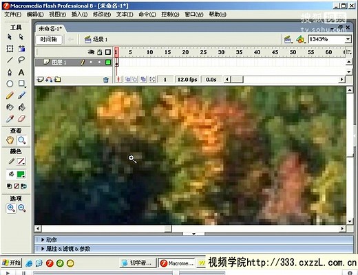 flashplayer官方下载最新版flash教程编程入门实例 flash8视频教程 1