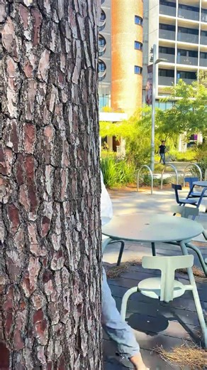 WIN the ultimate Curtin Alumni Prize Pack worth more than $3000! 🥳🤩🎓 Curtin Alumni has teamed up with Curtin Exchange and Curtin Stadium to gift one lucky grad: 🎁 2 x Curtin Stadium gym membership passes 🎁 2 x Curtin Exchange dining vouchers 🎁 1 x Garmin Watch 🎁 1 x YETI waterbottle 🎁 1 x Set of Bose Noise Cancelling Headphones; and 🎁 $500 cash Don’t miss out, enter before 3PM (AWST) Friday, 20 February 2026 for your chance to win! 😉 Visit the link in bio to find out how to enter. 🔗 #