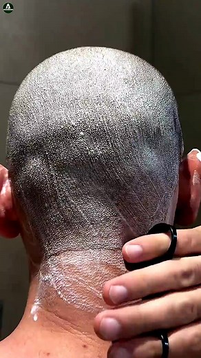 1.4M views · 5.3K reactions | 1. Founding and History: BMW,...