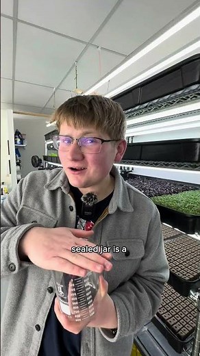 Microgreens vs Sprouts, is there a real difference? #microgreens #sprouts #verticalfarming